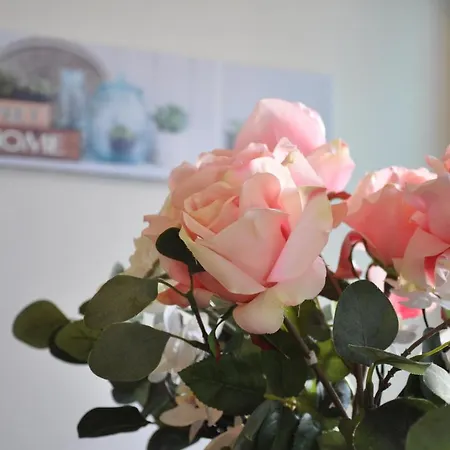 Mona's Cozy Near City Centre Larnaca